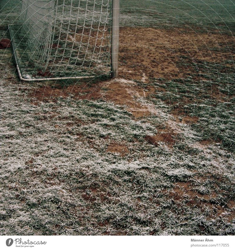 Gute Freunde... Fußballplatz 11 Sport Spielen Fernseher Stadion Moderator Strafraum Spielfeld Spielzeug Torwart Trikot Weltmeisterschaft Kunstrasen Shorts