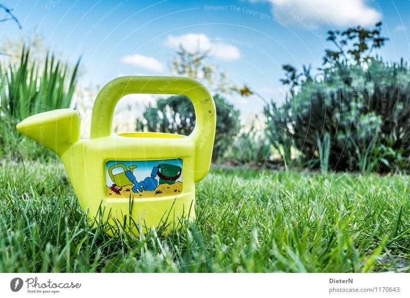 Kanne Himmel Pflanze Blume Gras Sträucher blau gelb grün Spielzeug Gießkanne Rasen Garten Farbfoto mehrfarbig Außenaufnahme Menschenleer Textfreiraum rechts Tag