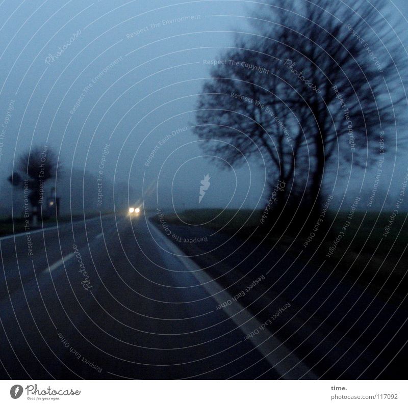 Heimfahrt Winter Wolken Horizont schlechtes Wetter Nebel Baum Verkehr Personenverkehr Straße PKW blau Müdigkeit Einsamkeit verlieren Landstraße Straßenrand