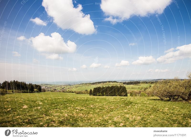 Auf dem Vogelsberg Landschaft Himmel Wolken Sommer Schönes Wetter Baum Gras Feld Hügel Berge u. Gebirge blau grün Hessen Spaziergang Ausflug Natur Farbfoto