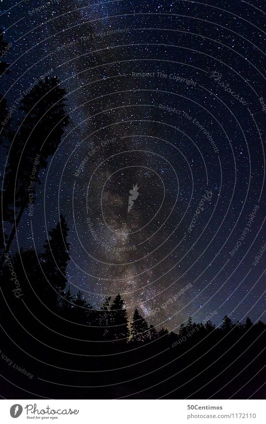 Milchstrasse Ausflug Abenteuer Ferne Freiheit Berge u. Gebirge Natur Landschaft Himmel Nachthimmel Stern Schönes Wetter Wald Österreich Salzburg entdecken