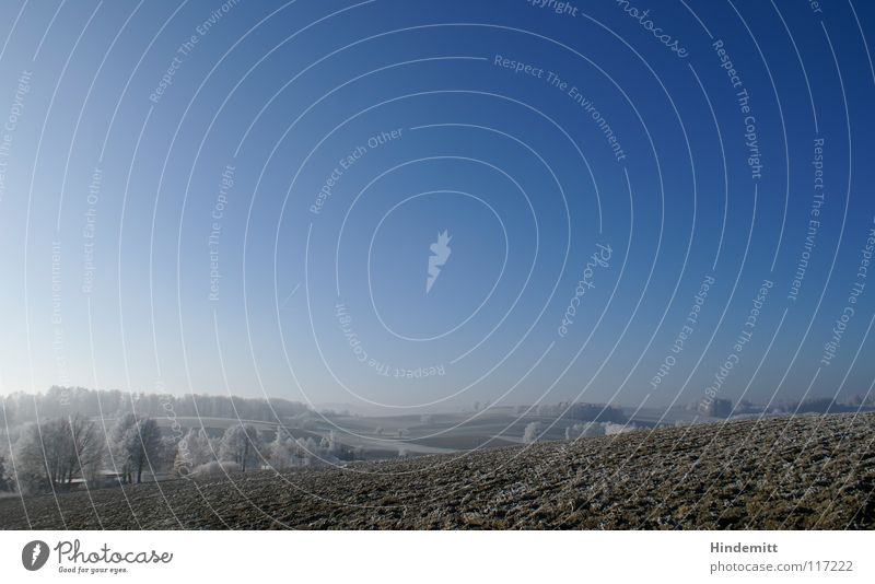 Winterwellen [orientation:landscape] Feld Baum Wiese Nebel schlechtes Wetter braun weiß Farbverlauf ruhig Raureif kalt Eis Klarheit Luft schön gepflügt Hügel