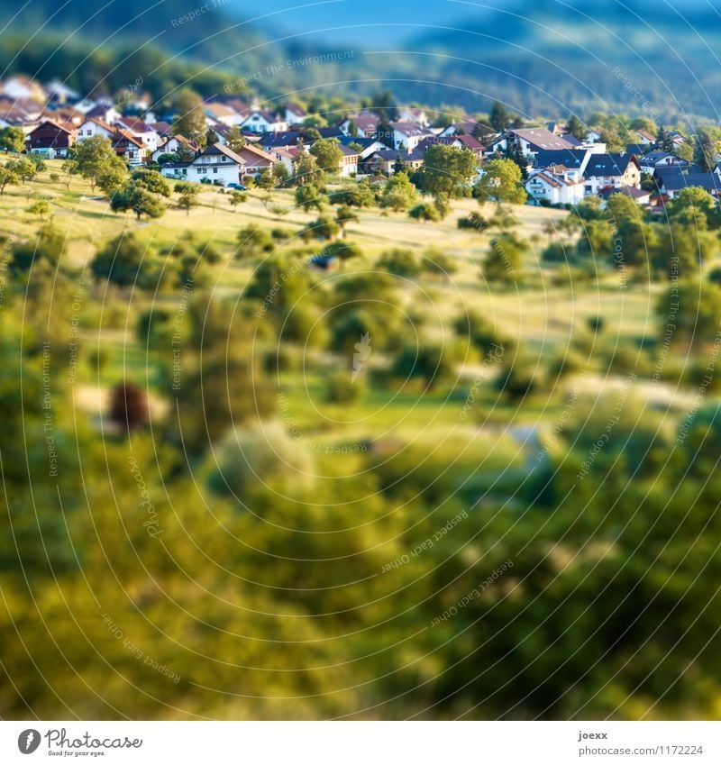 Abenteuerland Landschaft Schönes Wetter Baum Wiese Wald Hügel Dorf klein oben mehrfarbig Idylle Miniatur Farbfoto Außenaufnahme Tag Schwache Tiefenschärfe