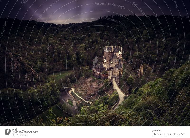 Landeanflug Wald Burg oder Schloss Bauwerk Sehenswürdigkeit Denkmal alt gigantisch groß gruselig historisch hoch reich retro braun grün Idylle Farbfoto