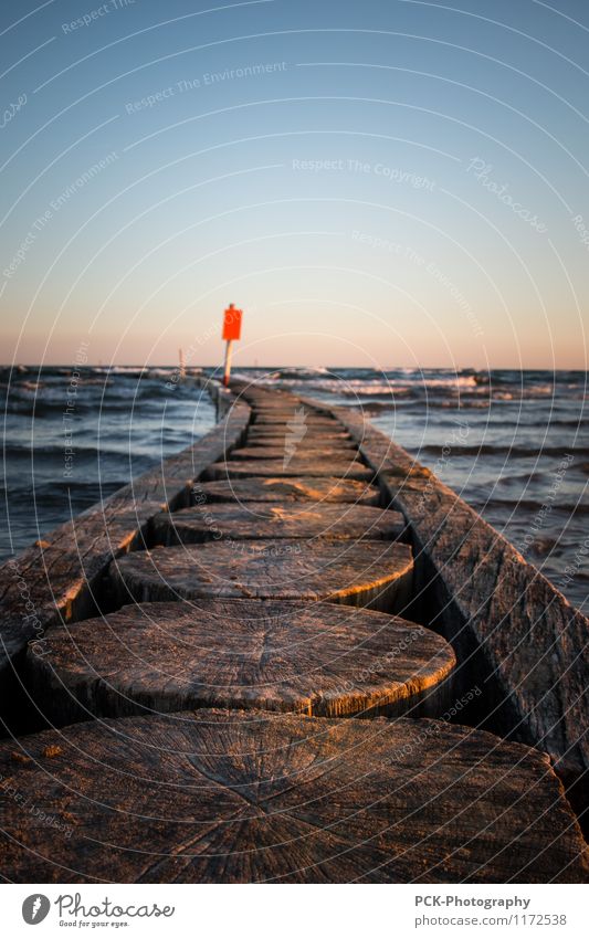 Wellenbrecher Wasser Wolkenloser Himmel Horizont Frühling Sommer Herbst Schönes Wetter Wind Küste Strand Bucht Nordsee Ostsee Hafen Holz Schutzschild blau braun