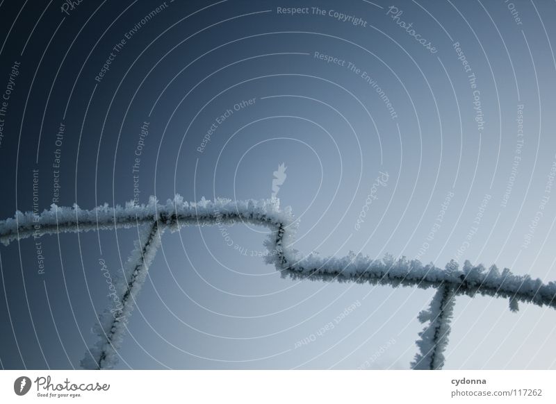 EISKALT Winter kalt Einsamkeit ruhig gefroren Stimmung Zaun Gitter Konstruktion weiß Sehnsucht Erscheinung Tiefenschärfe Schwung Himmel Leben zugeschneit