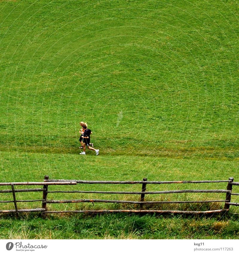 Alpenjogging Joggen Bundesland Tirol Wiese Alm Zaun Holz Turnschuh Sportbekleidung Luft Gesundheit Österreich Schweiz Mann Frau Fitness Freude Spielen Natur