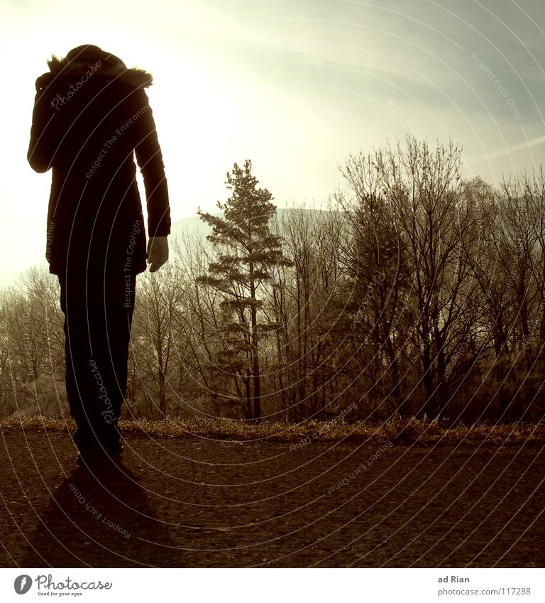 One Step Behind Sonne Winter Frau Erwachsene Himmel Nebel Baum Wald Jacke Handschuhe kalt braun grau schwarz Vertrauen Hoffnung Mobilität Zukunft Kapuze