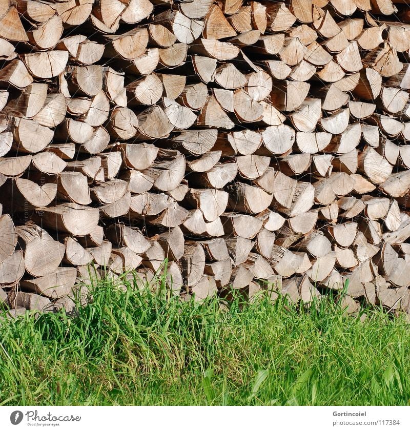 Kaminfutter Garten Energiewirtschaft Wärme Gras Wiese Holz Warmherzigkeit Holzstapel Brennholz heizen Brennstoff Farbfoto Muster Strukturen & Formen Schatten