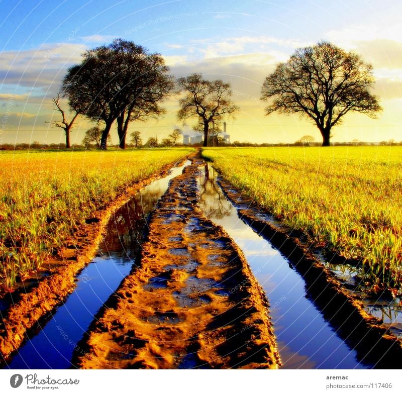 Tiefe Spuren Landwirtschaft Feld Baum Frühling Wasser Himmel tief Stromkraftwerke Farbe Traktorspur