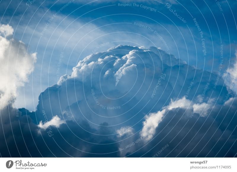 Wolkenberg Natur Urelemente Luft Himmel nur Himmel Sommer Unwetter bedrohlich dunkel blau grau schwarz weiß Wolkenhimmel Wolkenbild Kumulus Wetterumschwung