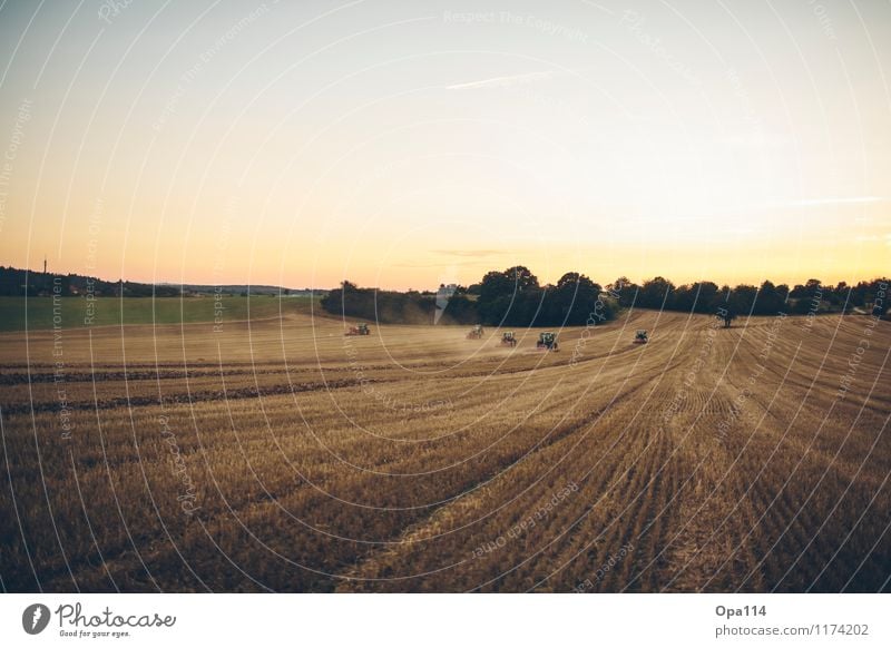 Feldtag Umwelt Natur Landschaft Pflanze Tier Sonnenaufgang Sonnenuntergang Sommer Nutzpflanze Arbeit & Erwerbstätigkeit "Traktor Traktoren Landwirtschaft