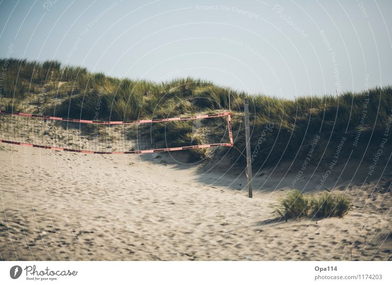 Beach Volleyball Umwelt Natur Landschaft Pflanze Tier Sonne Sommer Schönes Wetter Küste Strand Bucht Nordsee Insel Sand Holz Spielen Glück Unendlichkeit blau