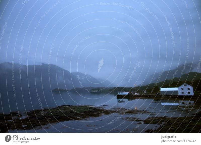 Vesterålen Umwelt Natur Landschaft Wasser Himmel Nachthimmel Klima Fjord Fischerdorf Haus Gebäude außergewöhnlich dunkel kalt maritim natürlich blau Stimmung