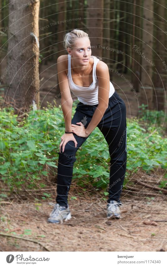 Waldlichblick Sport Fitness Sport-Training Sportler Joggen Mensch Junge Frau Jugendliche Leben 1 18-30 Jahre Erwachsene Natur Pflanze Erde Schönes Wetter Baum