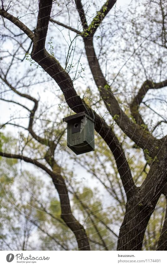 hausnummer 44. Umwelt Natur Himmel Wolken Wetter Baum Blatt Garten Park Tier Vogel Futterhäuschen Ziffern & Zahlen Häusliches Leben Farbfoto Gedeckte Farben