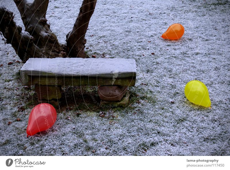 101 - Party schon vorbei... Luftballon mehrfarbig knallig Kontrast Physik kalt Eis Winter Park Parkbank Sitzgelegenheit Wiese Steinbank Baum besetzen Einsamkeit