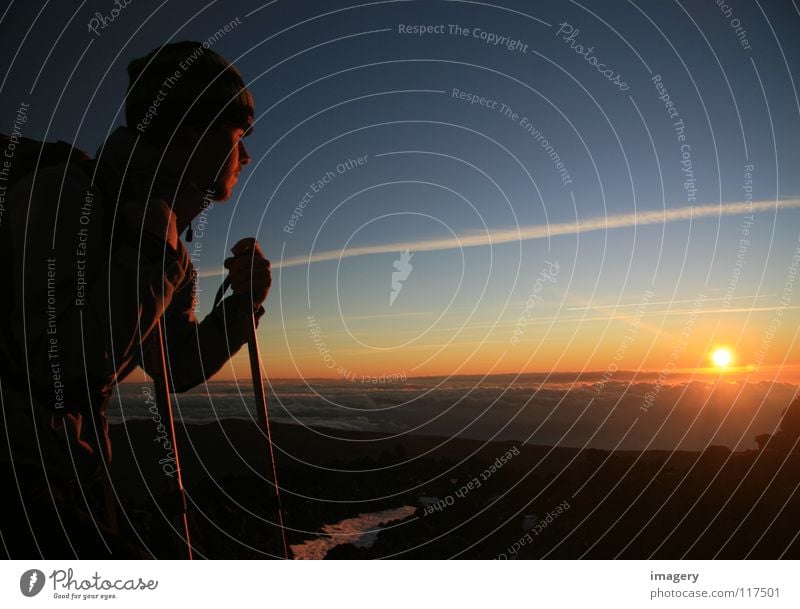 Sonnenaufgang am Teide Teneriffa Bergsteigen Licht Erfolg Berge u. Gebirge Ferne oben Himmel