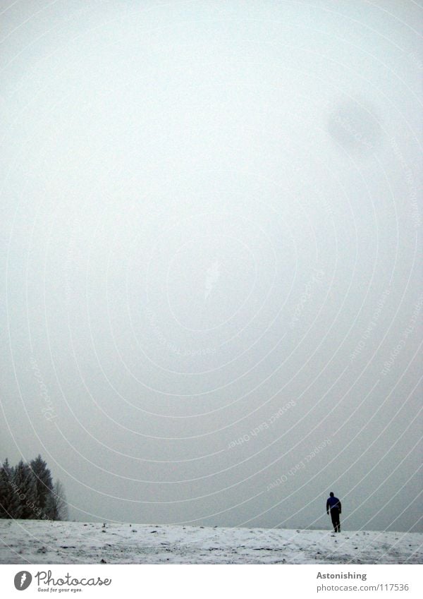 einsame Wanderung wandern Winter Mann grau weiß klein Baum gehen kalt Wolken Nebel Schnee Mensch Bodenbelag Himmel Spatziergang Wetter Spaziergang