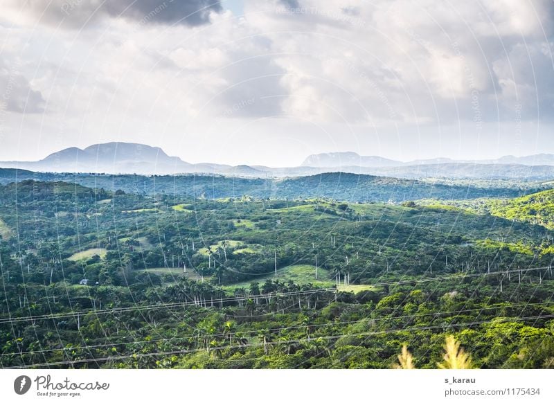 Tropenlandschaft am Morgen Ferien & Urlaub & Reisen Tourismus Abenteuer Ferne Freiheit Sommer Natur Landschaft Pflanze Himmel Wolken Sonnenlicht Klima