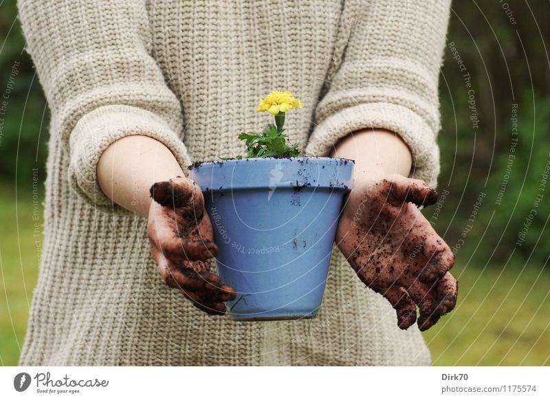 Gartensaison ist wieder eröffnet! Freizeit & Hobby Gartenarbeit Häusliches Leben Wohnung Mensch feminin Hand 1 30-45 Jahre Erwachsene Natur Erde Frühling Blume