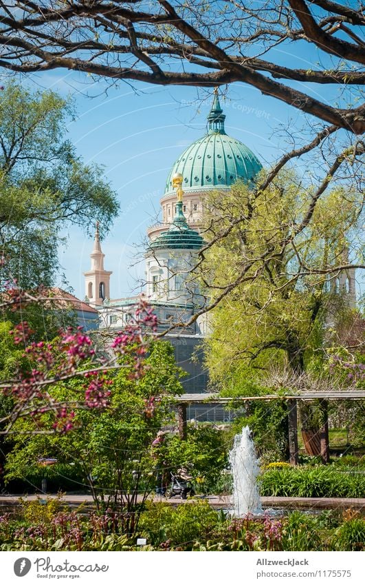 Stadtparkidyll Pflanze Frühling Schönes Wetter Park Potsdam Altstadt Menschenleer Kirche Bauwerk Architektur Sehenswürdigkeit Wahrzeichen Nikolaikirche Kitsch