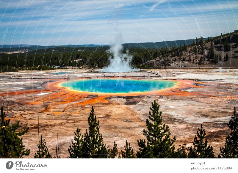 Vulkanismus Ferien & Urlaub & Reisen Tourismus Abenteuer Sommerurlaub Umwelt Natur Landschaft Himmel Nadelbaum Heisse Quellen außergewöhnlich gigantisch heiß