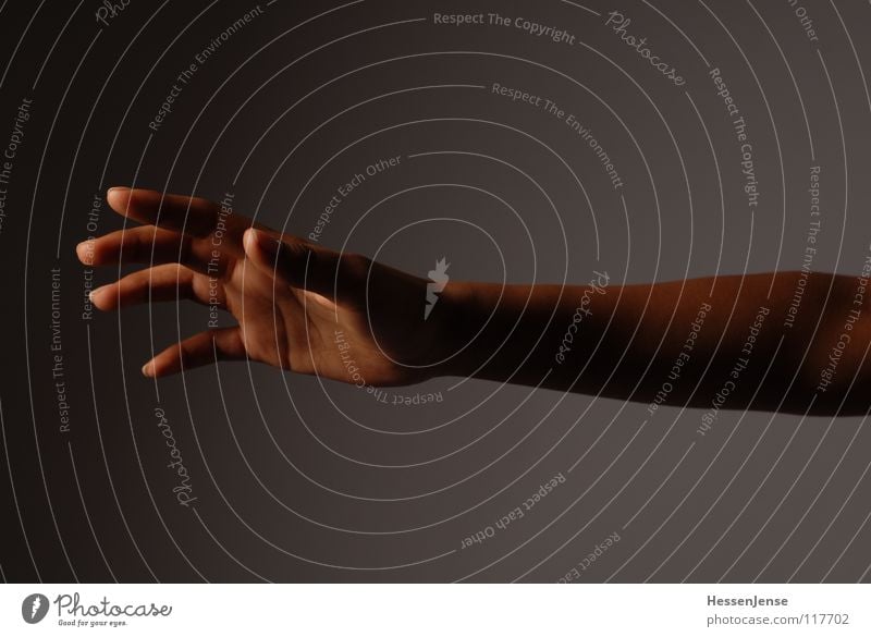 Hand 8 Finger Gefühle einheitlich widersetzen Rede Diskurs geben bedeuten Aktion Zusammensein Wachstum Götter Allah Hintergrundbild links Schmuck rechts