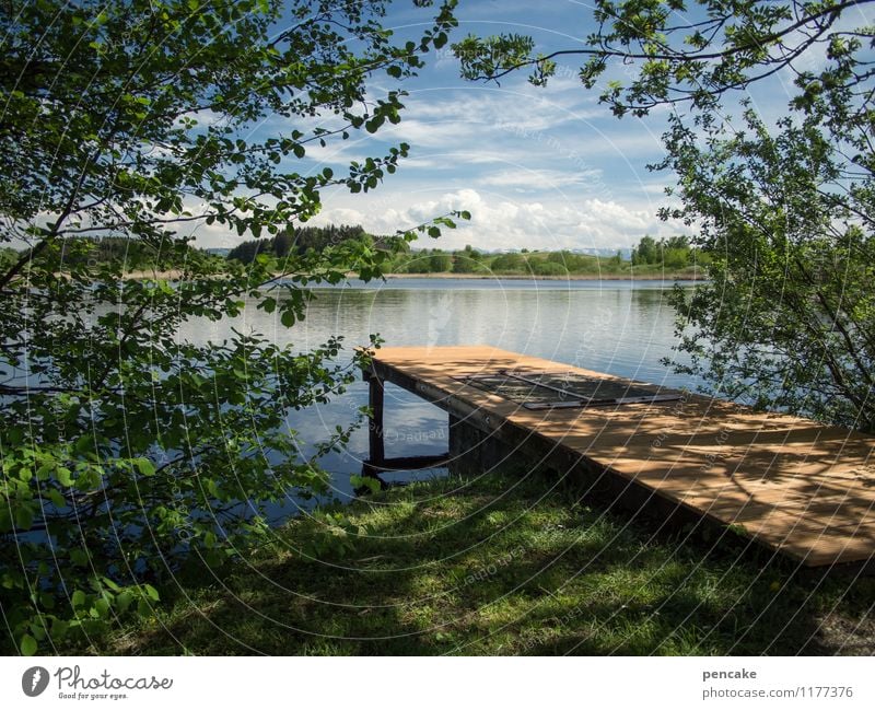 einen sommer lang Natur Landschaft Urelemente Wasser Himmel Sommer Schönes Wetter Baum Gras Wald See Gefühle Stimmung Lebensfreude Freizeit & Hobby Frieden