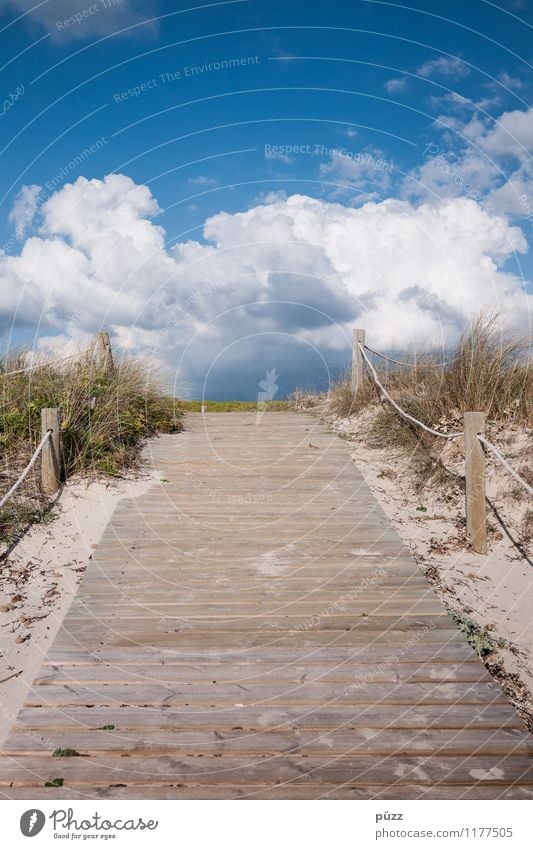 Der Weg Ferien & Urlaub & Reisen Tourismus Ferne Sommer Sommerurlaub Strand Meer Umwelt Natur Landschaft Sand Luft Himmel Wolken Sonne Schönes Wetter Insel