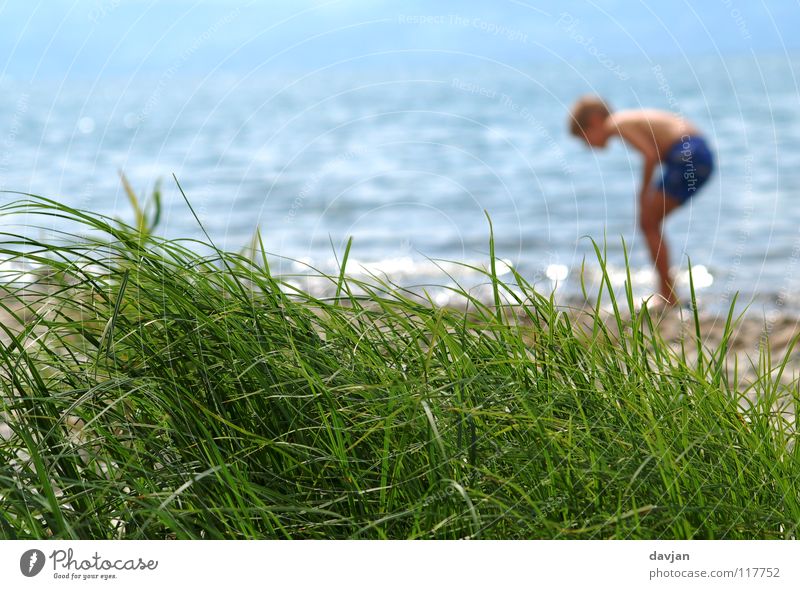 Spurensuche Sommer Kind Gras Wellen Reflexion & Spiegelung Meer grün Suche Unbeschwertheit Unschärfe Ferien & Urlaub & Reisen Konzentration Makroaufnahme