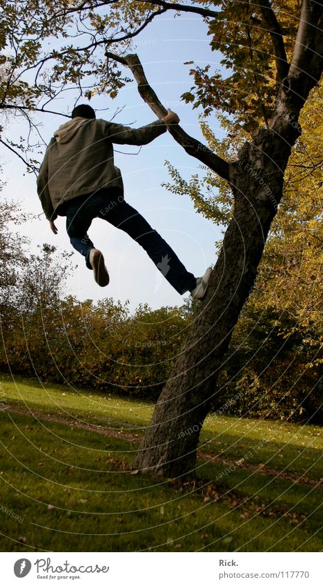 .Kletterbaum Nr. 2 Baum springen Herbst gelb Kerl Wiese Halt Situation Aktion Blatt Baumrinde Stimmung Schuhe Holzmehl Himmel grün verrückt Stativ Leben Mann