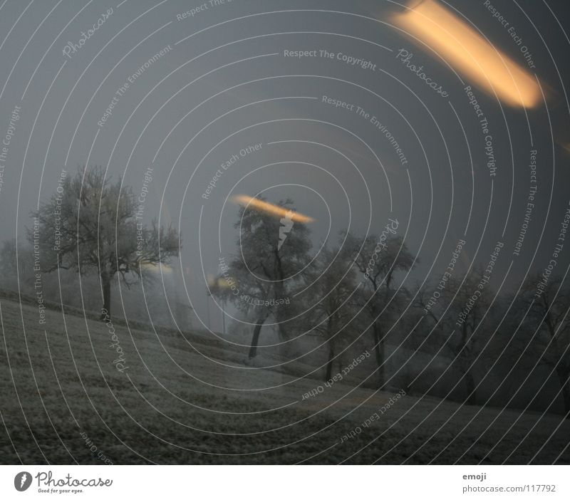 Wir treffen in Lenzburg ein. Endstation. Eisenbahn fahren Winter trist Ödland Schnee Nebel Bahnfahren Licht Reflexion & Spiegelung Beleuchtung kalt Baum Feld