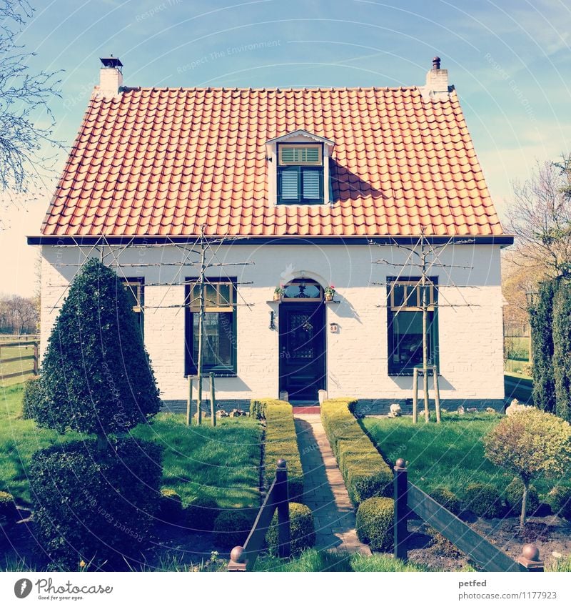 Häusliche Ansichten XIV Wohnung Haus Garten Himmel Frühling Schönes Wetter Hecke Rasen Einfamilienhaus Fassade Fenster Tür Dach klein schön blau grün weiß