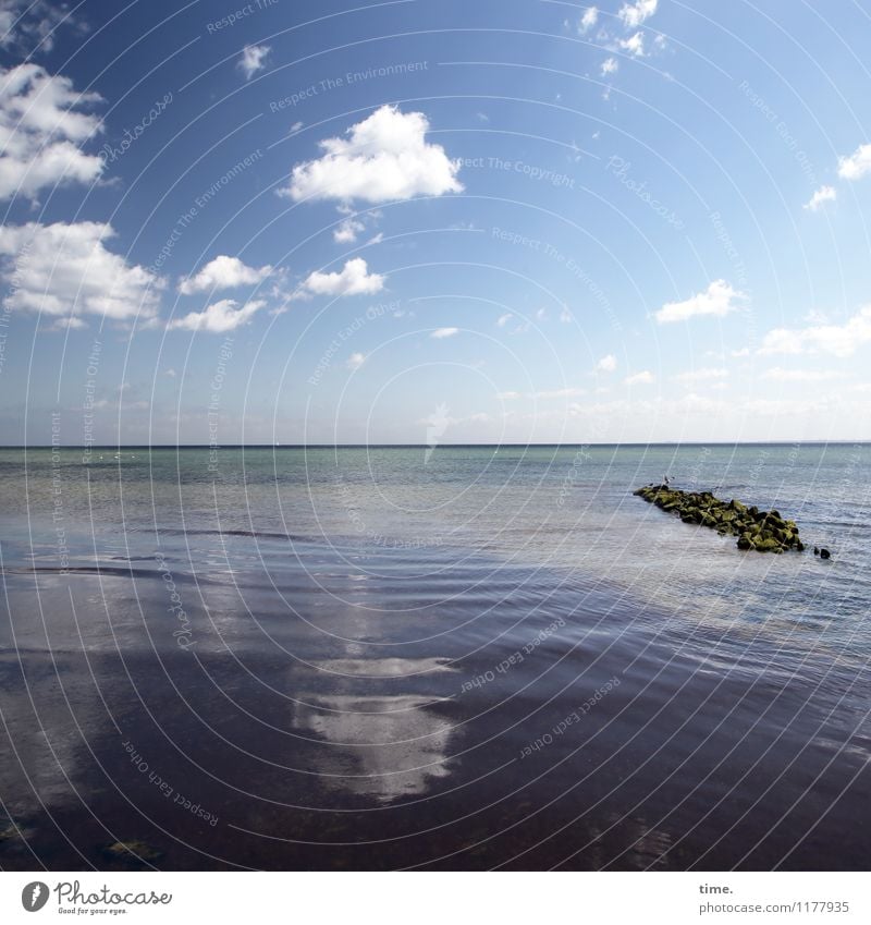 Meeresspiegel Wasser Himmel Wolken Horizont Frühling Schönes Wetter Wellen Küste Ostsee Buhne Stein glänzend maritim schön Gelassenheit ruhig Leben Fernweh