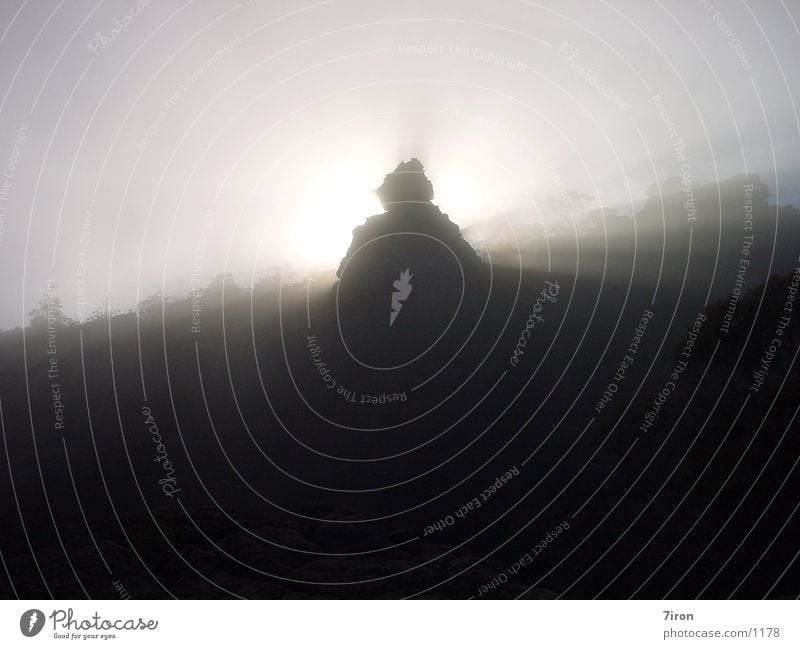 Nebel Australien Nationalpark Berge u. Gebirge Pinacle Grampions Felsen