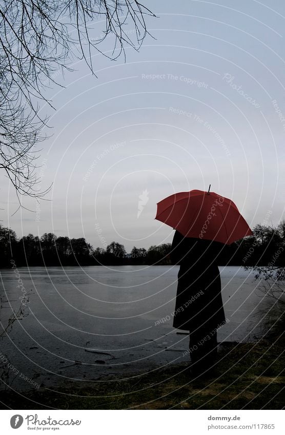 la solitaria rot grün Herbst Blatt dunkel Holz Frau Mantel blond grinsen schön Hand Vogelperspektive Quadrat Wolken See Baum Gabel kalt Winter Landkreis Fulda