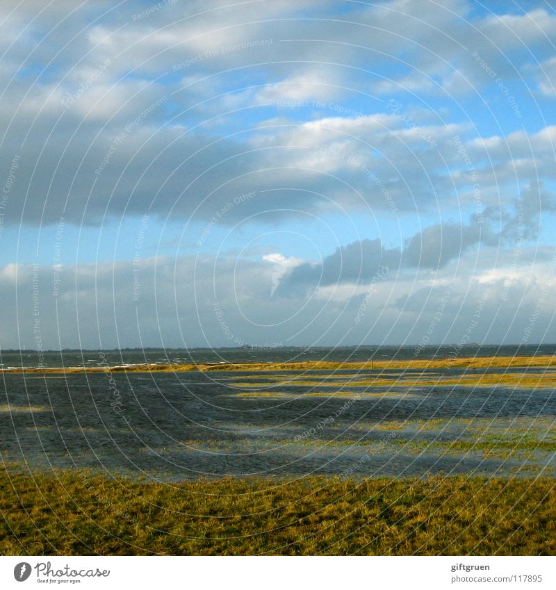 nordsee, windstärke 10 bft. Herbst Sturm Leidenschaft Windgeschwindigkeit Herbstlandschaft Küste mehrfarbig Jahreszeiten Strand Meer Wolken Oktober November