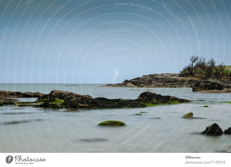 Normandie Ferien & Urlaub & Reisen Abenteuer Ferne Freiheit Strand Meer Insel Wellen Umwelt Natur Landschaft Wasser Sträucher Bucht Nordsee beobachten berühren