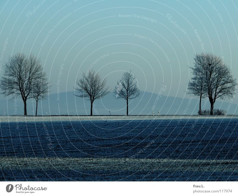 blau Degersen ruhig Winter Schnee Himmel Wolken schlechtes Wetter Baum Feld kalt Einsamkeit Landstraße Raureif Niedersachsen Feldmark Heimat besinnlich