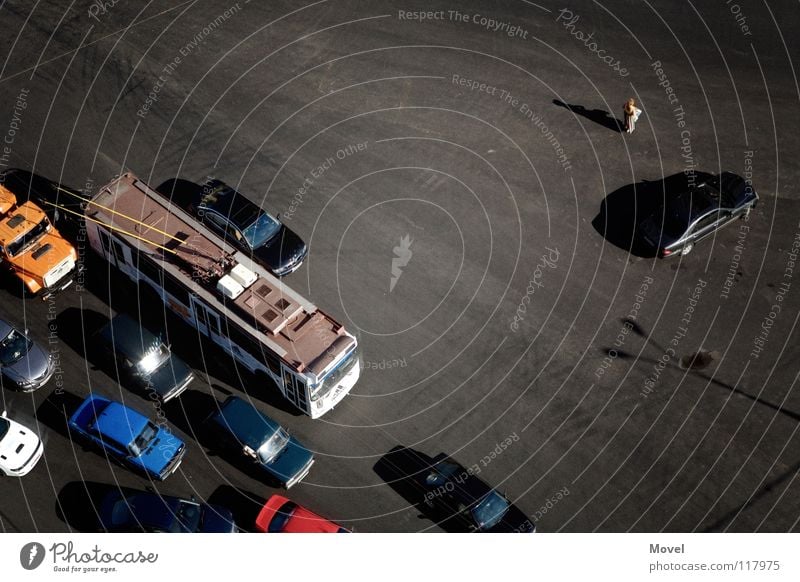 lost in moscow 1 Mensch Moskau Russland Asien Verkehr Straße Straßenkreuzung PKW Bus fahren laufen bedrohlich verrückt Tapferkeit Mut Angst gefährlich Übermut