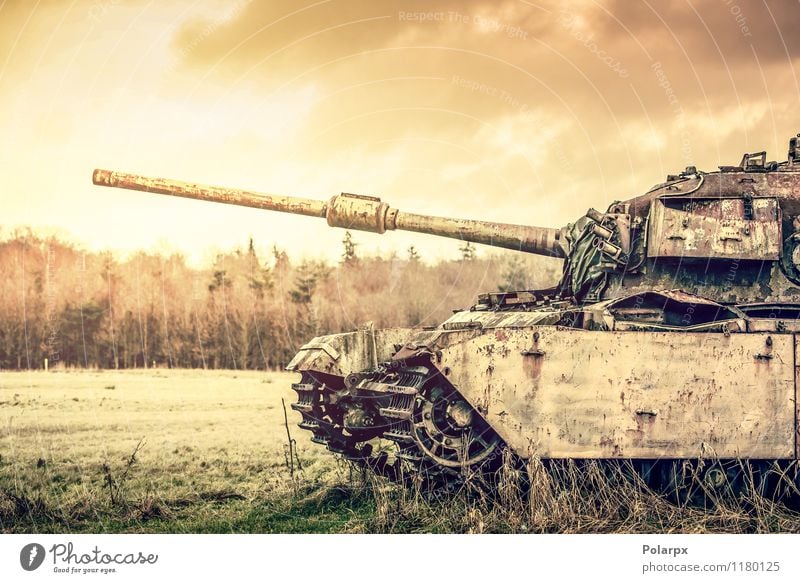 Tank auf einem Feld Camping Motor Natur Landschaft Herbst Baum Gras Wald Verkehr alt historisch retro grün Krieg Munition gepanzert Rüstung Armee attackieren