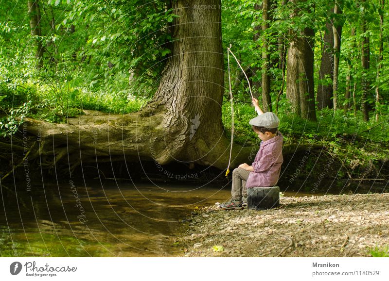 Angeln Kind Kleinkind Junge Kindheit 1 Mensch 1-3 Jahre 3-8 Jahre Natur Frühling Sommer Baum Farn Wald Bach Fluss Blick authentisch niedlich Angelrute Spielen