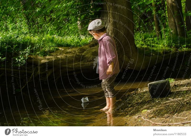 Wildbach Freude Abenteuer Kind Kleinkind Junge 1 Mensch 1-3 Jahre 3-8 Jahre Kindheit Natur Frühling Schönes Wetter Baum Wald Flussufer Blick Spielen