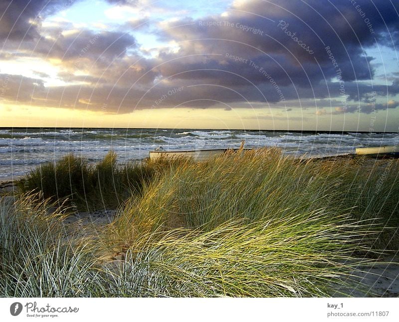 Herbst auf Hiddensee Meer Strand Wellen Sonnenuntergang Wasser Ostsee Abend sea evening autumn