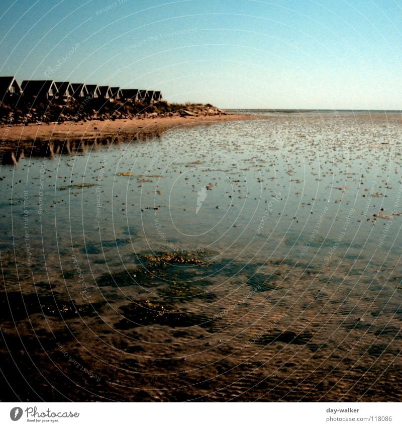 WATT fürn Ausblick Meer Strand Wurm Wattwürmer Haus Holzhaus Horizont Reflexion & Spiegelung Schlick Ebbe Niedrigwasser ruhig Küste Europa Schifffahrt Wasser