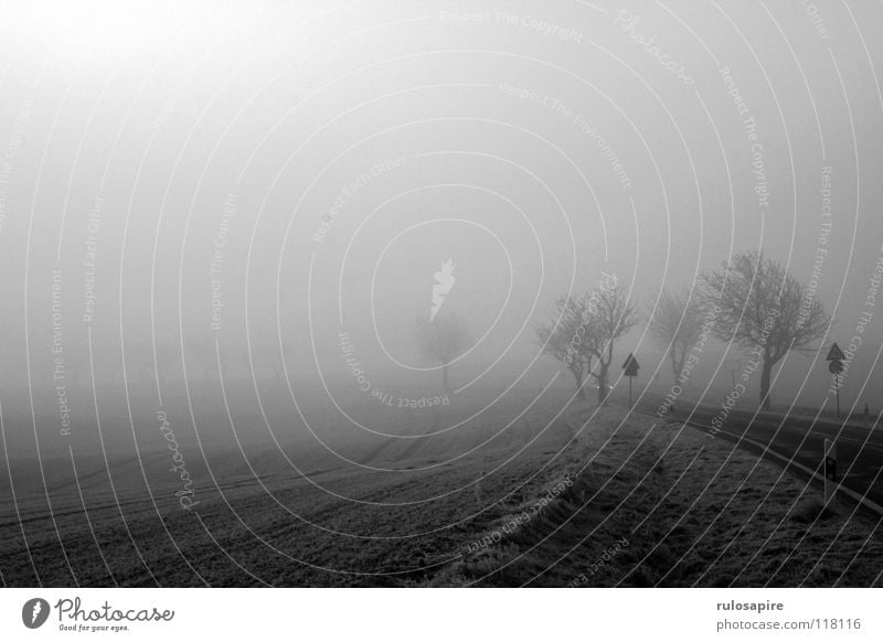 Winternebel Nebel grau geschlossen Wolken tief hängend leer Einsamkeit Baum massiv Feld Landwirtschaft weiß eingeschlossen Horizont schlechtes Wetter eng trüb