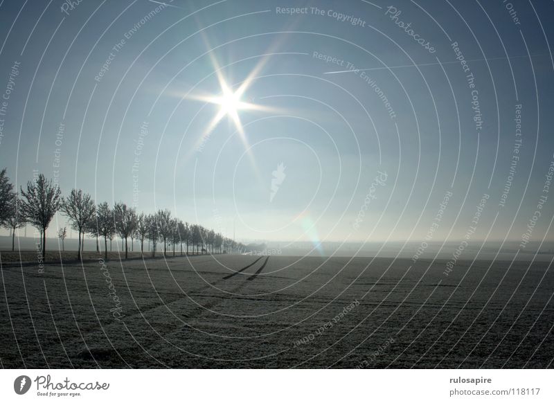 Horizonte Feld Landwirtschaft Winter grau weiß braun Unendlichkeit Ferne kalt grell Schwäche Baum schwarz tief Ewigkeit Stillleben ruhig Himmel blau Klarheit