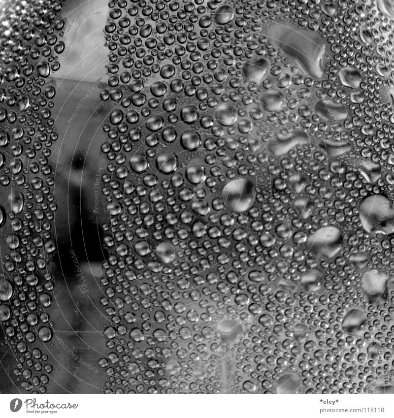 dance with drops Erfrischung Fenster Klarheit schwarz weiß grau Kühlung kalt feucht nass spritzig Schwarzweißfoto Wasser Tanzen silber Wassertropfen Flasche