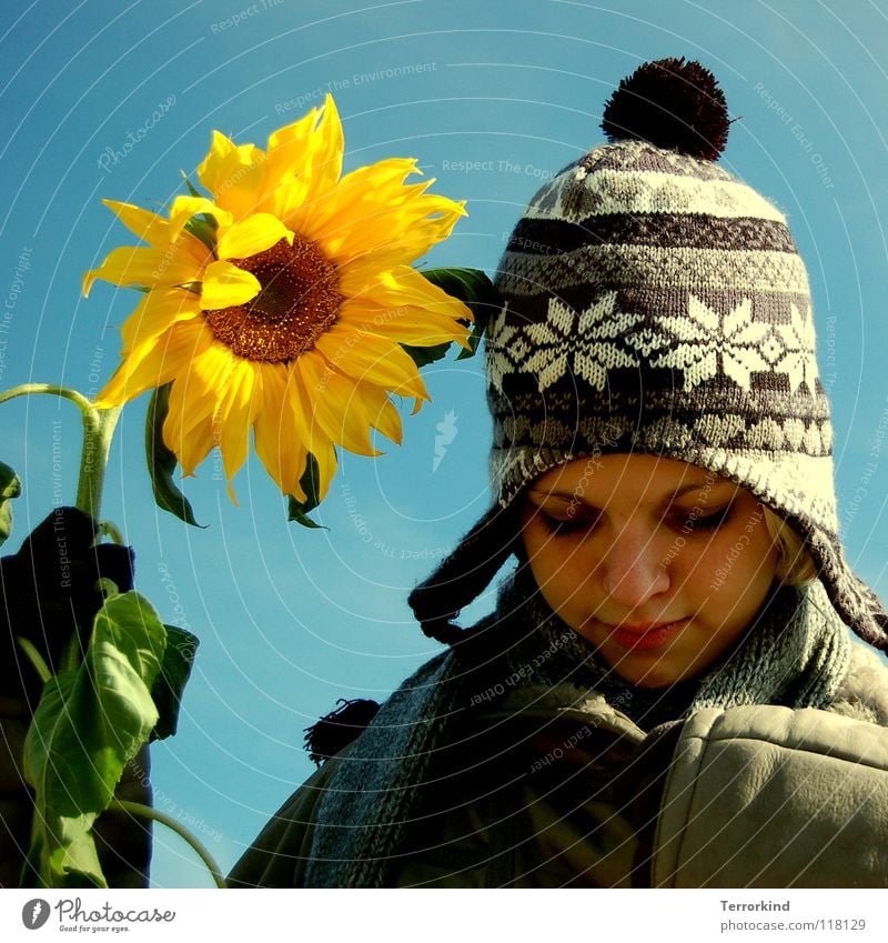 wenn.ich.die.als.freund.habe. Blume Sonnenblume Stengel Feindschaft Sommer Winter Frühling Herbst Jahreszeiten Mantel Handschuhe Mütze Schal Frau weiß gelb